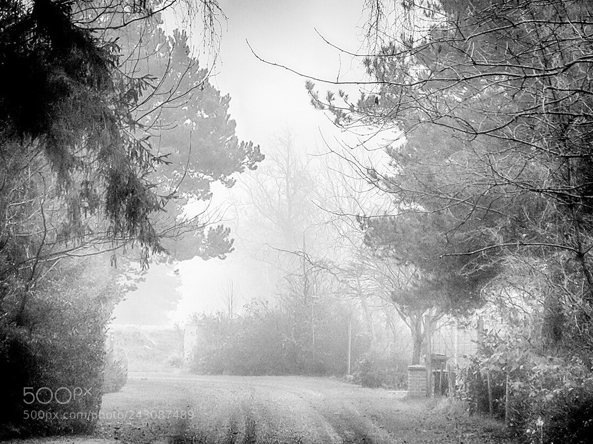 Canon PowerShot G16 sample photo. The mist photography