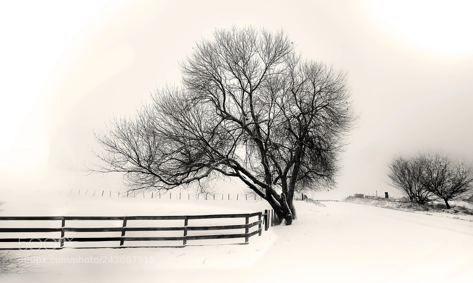 Nikon D810 sample photo. Cold winters day photography