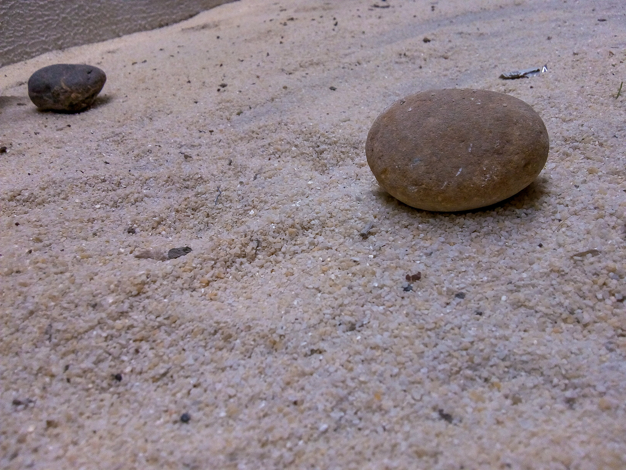 Motorola Moto C Plus sample photo