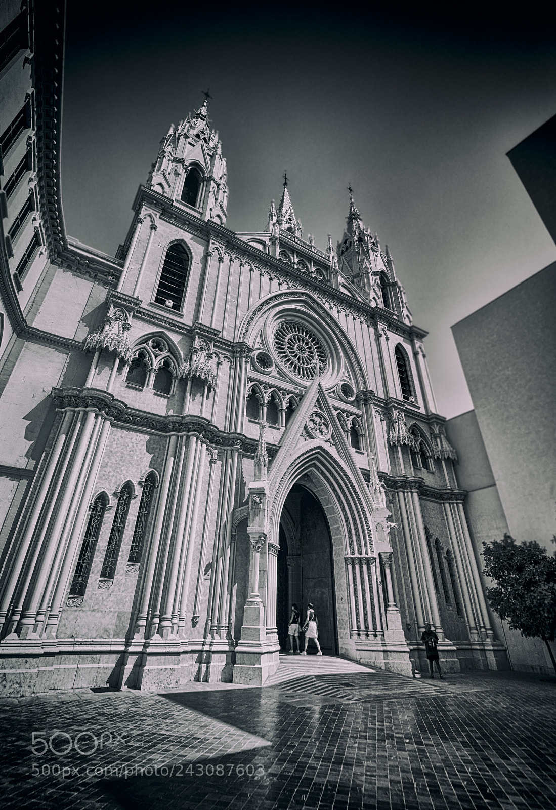 Nikon D800 sample photo. Sacred heart church photography