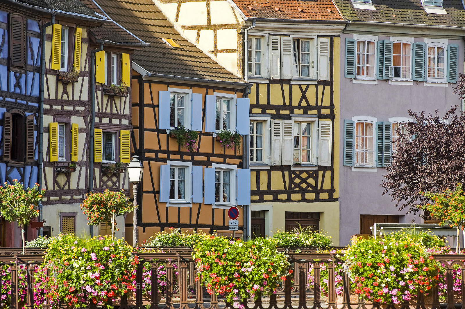Nikon D700 sample photo. Colmar alsace - petite photography