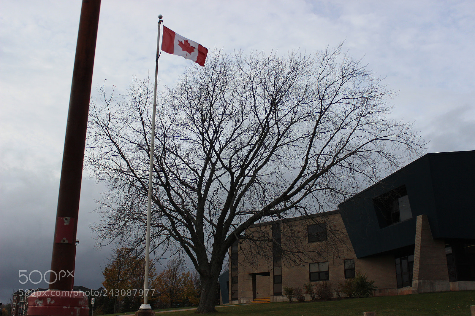 Canon EOS 600D (Rebel EOS T3i / EOS Kiss X5) sample photo. Canada flag photography