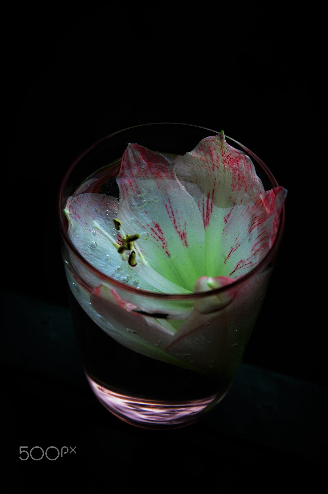 Nikon D70s sample photo. Water is life photography