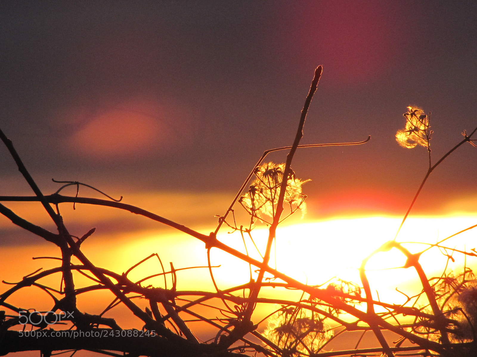 Canon PowerShot SX10 IS sample photo. Una fredda alba photography