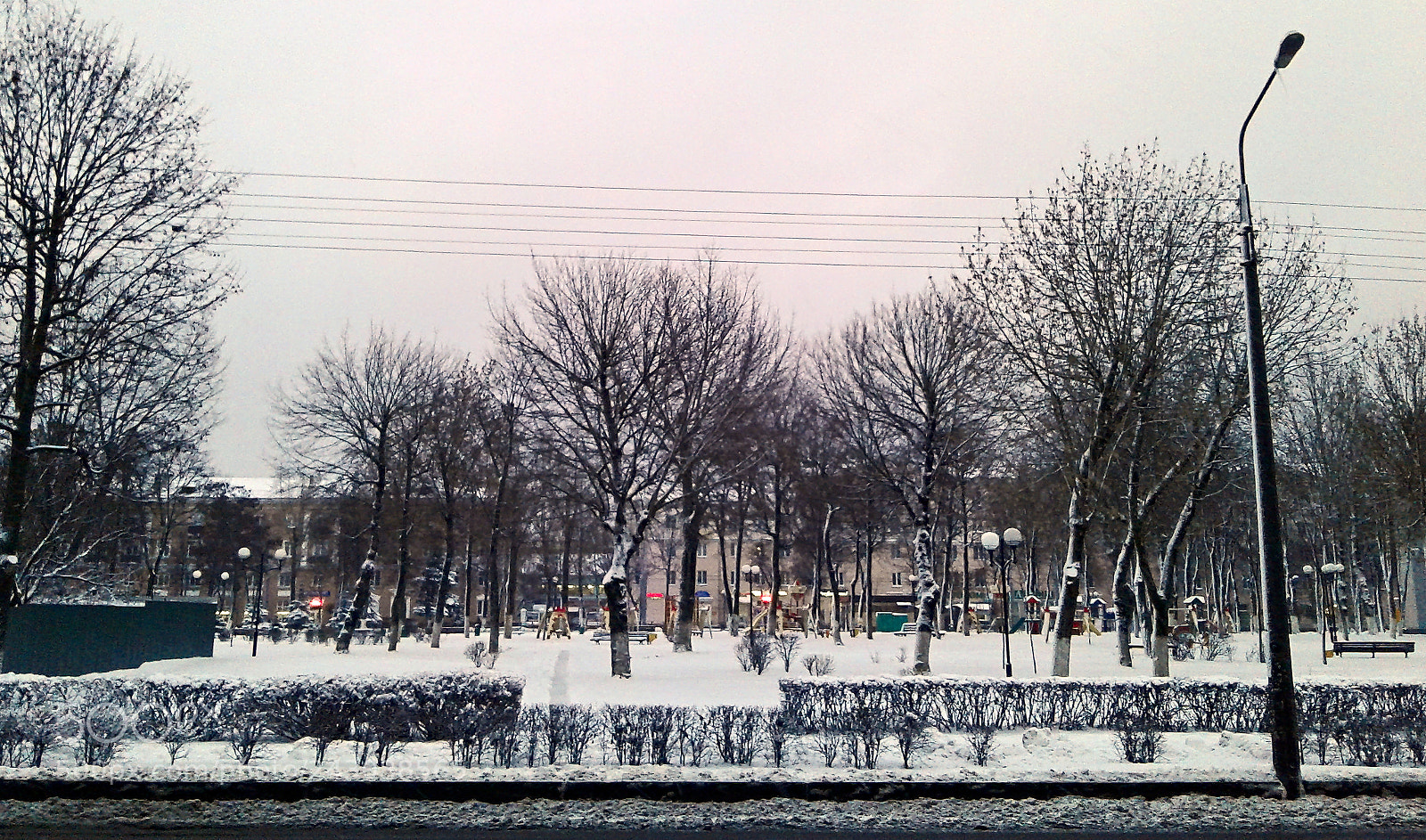 Samsung Galaxy J1 sample photo. Snowy tree photography