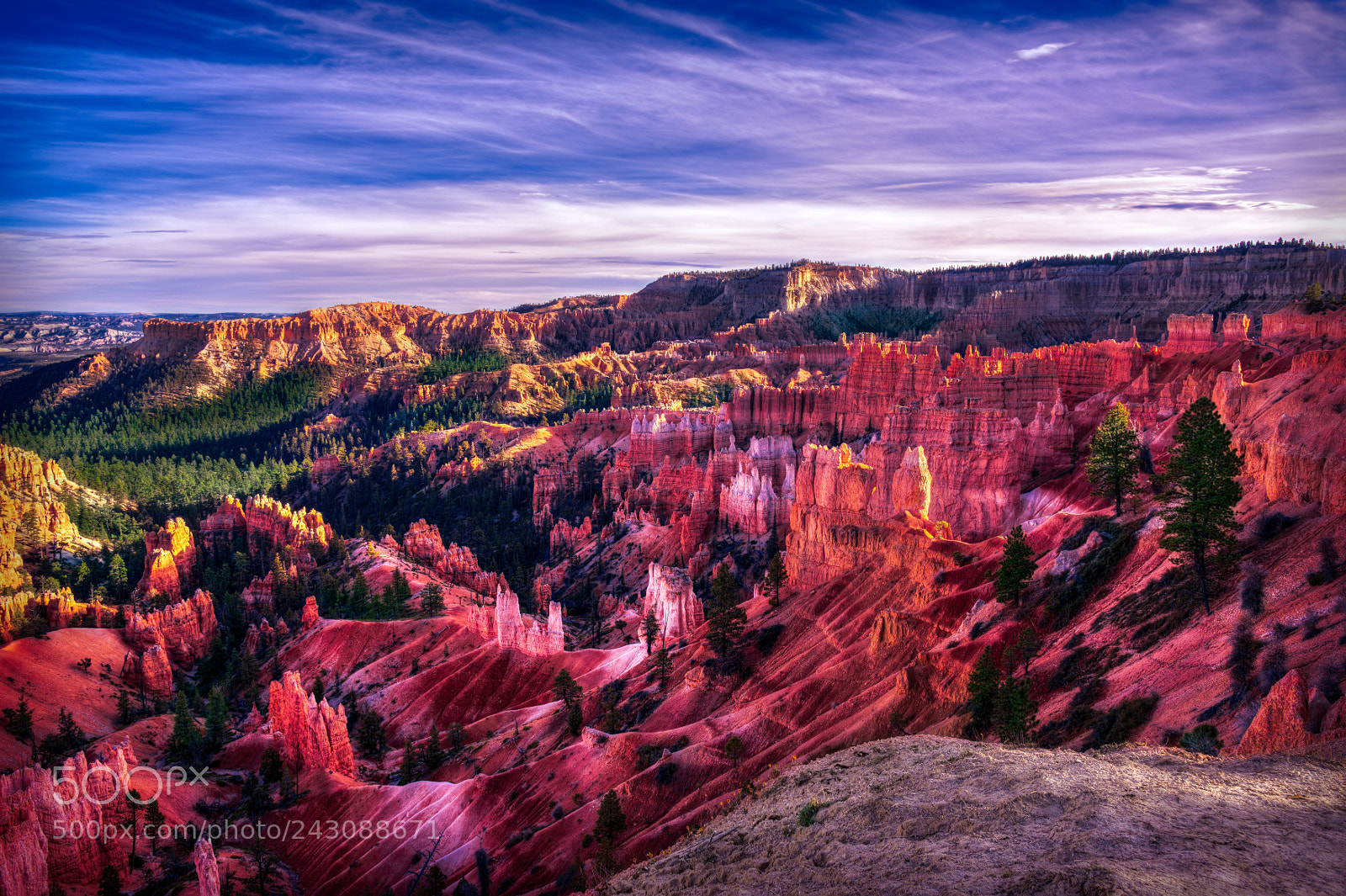 Nikon D810 sample photo. Bryce canyon national park photography