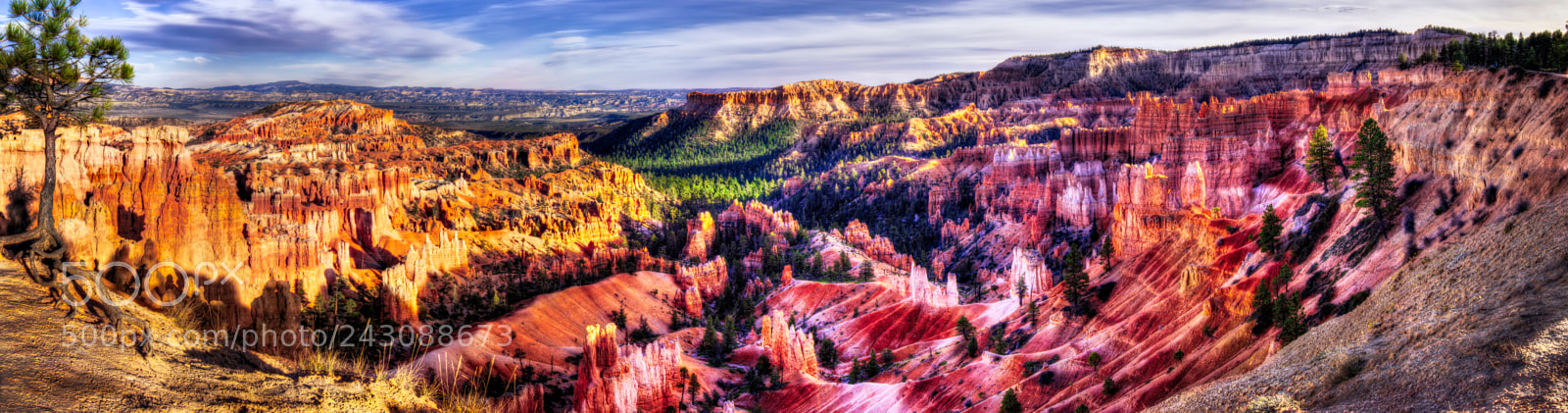 Nikon D810 sample photo. Bryce canyon national park photography