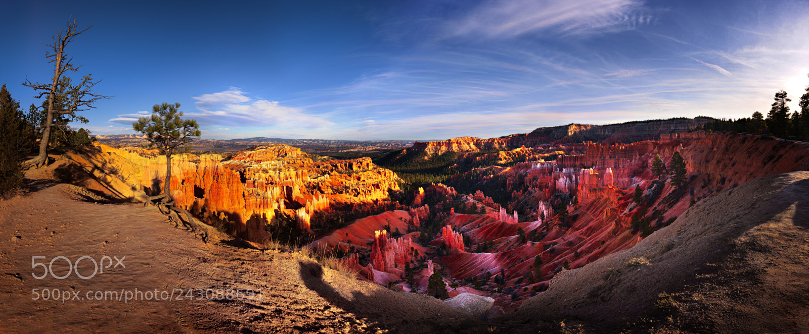 Nikon D810 sample photo. Bryce canyon national park photography