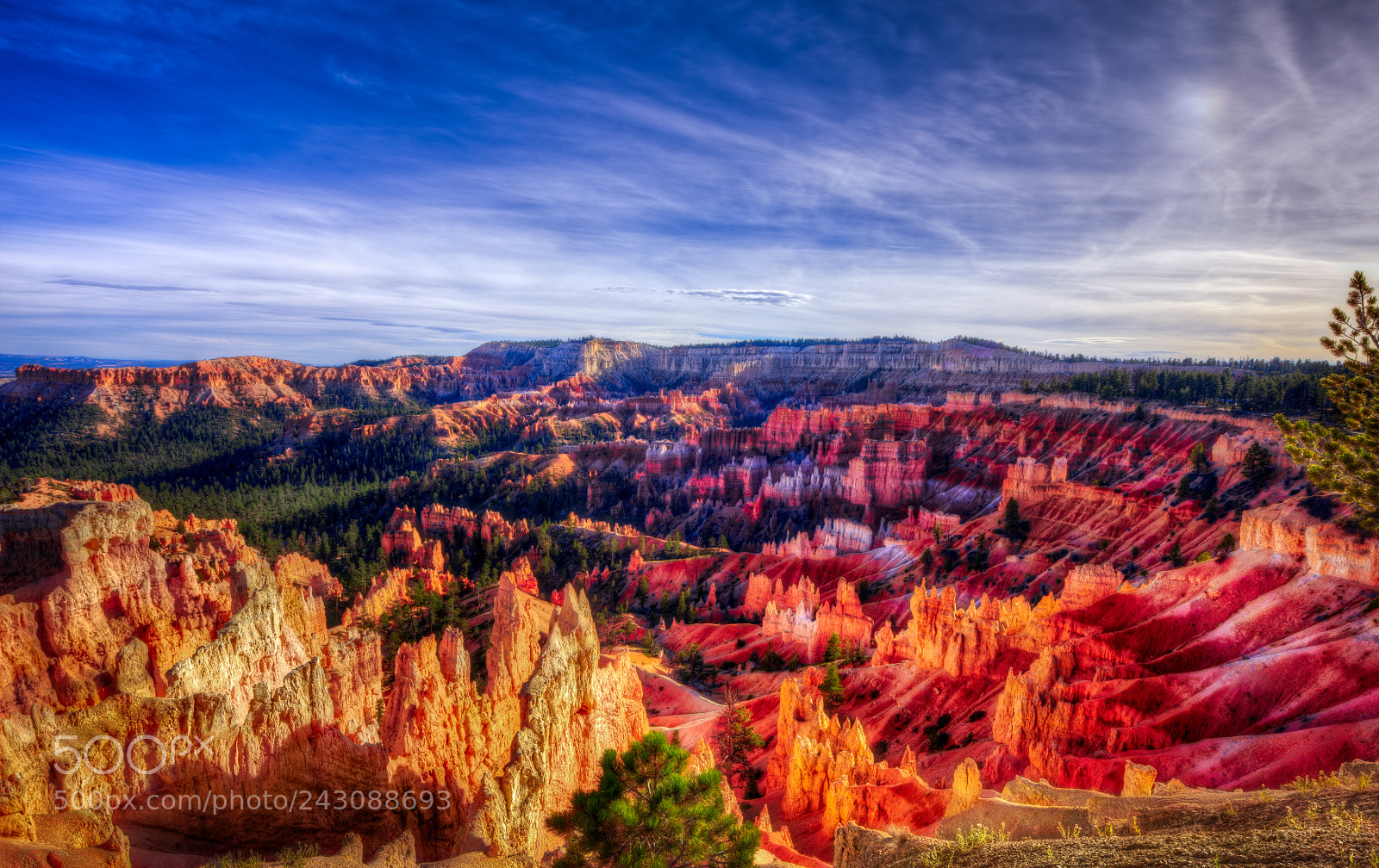 Nikon D810 sample photo. Bryce canyon national park photography