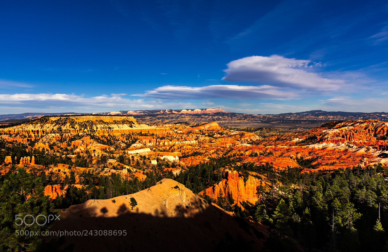 Nikon D810 sample photo. Bryce canyon national park photography