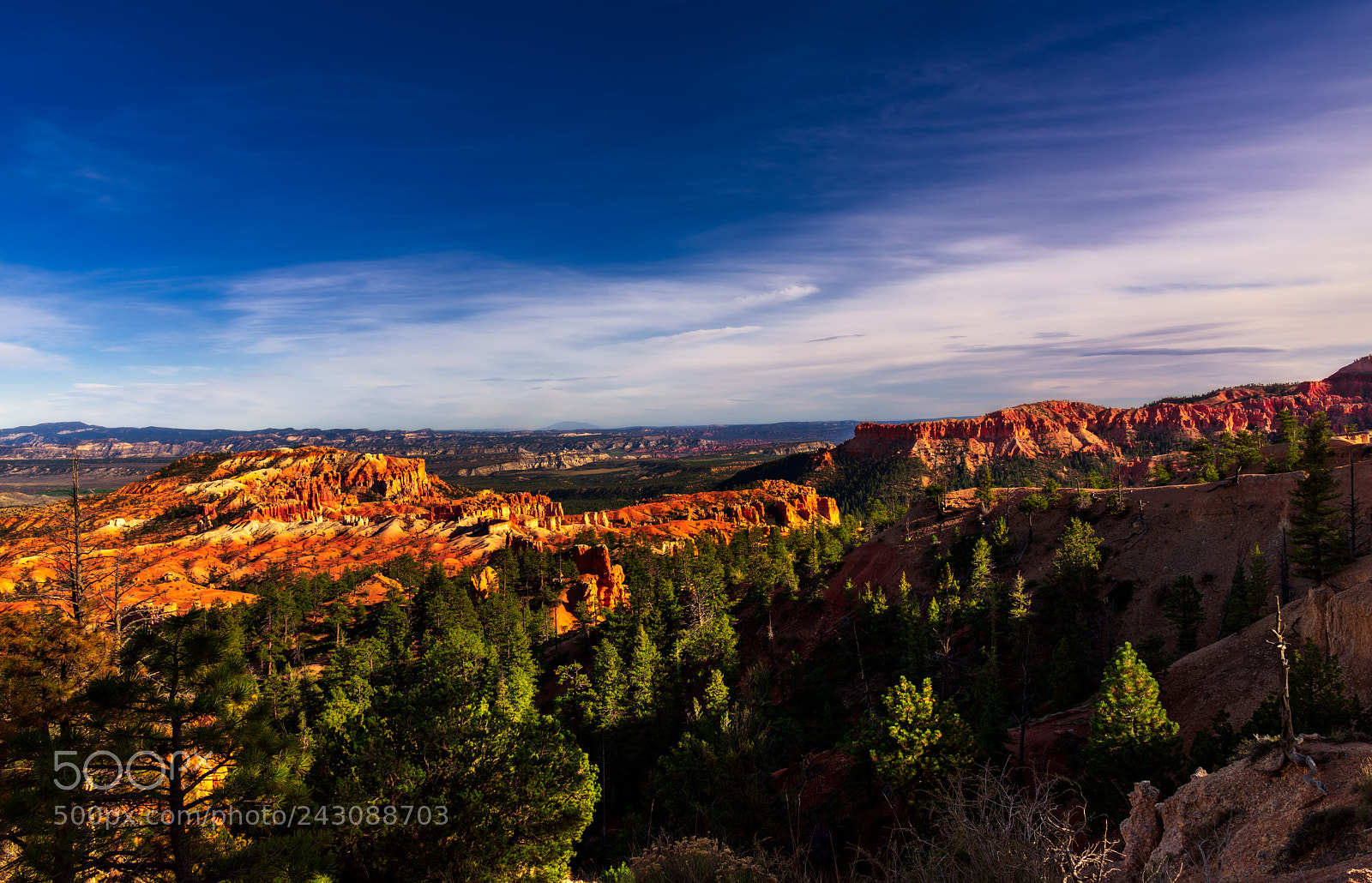 Nikon D810 sample photo. Bryce canyon national park photography
