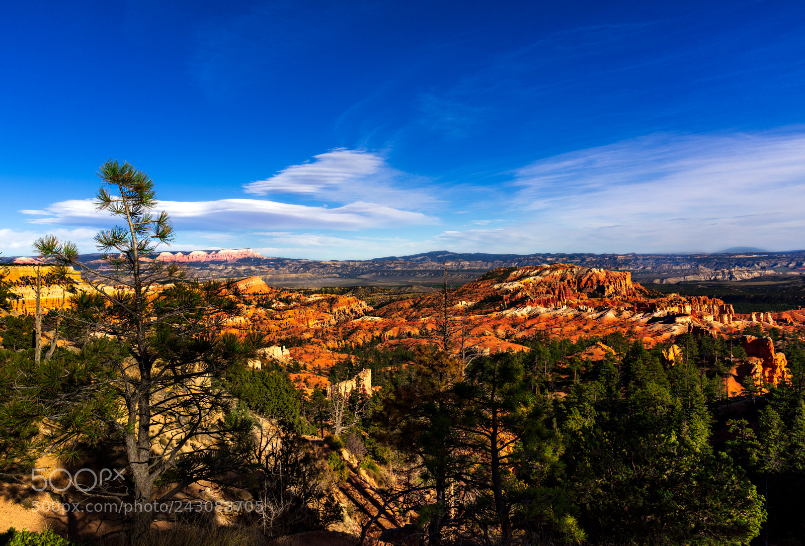 Nikon D810 sample photo. Bryce canyon national park photography