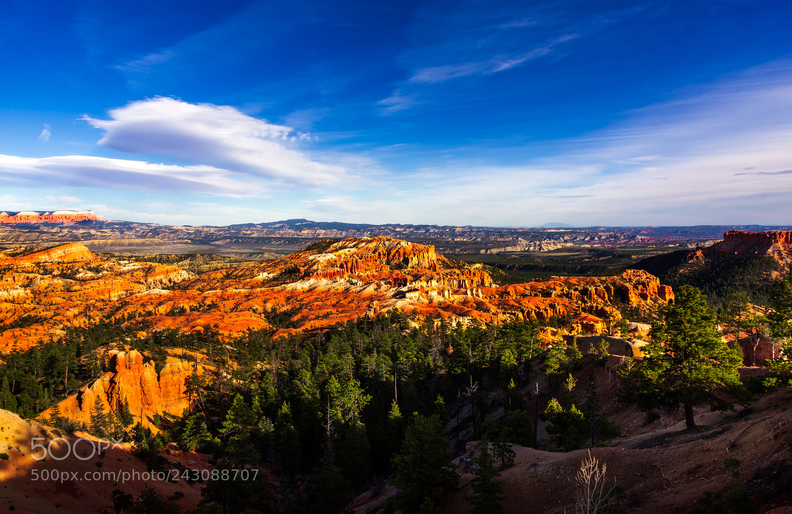 Nikon D810 sample photo. Bryce canyon national park photography