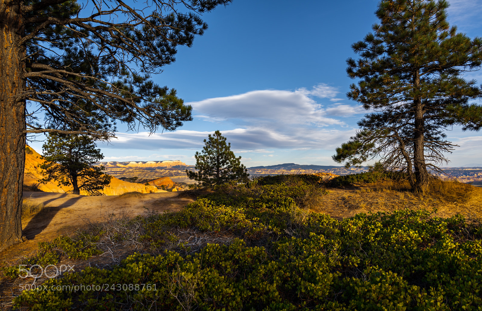 Nikon D810 sample photo. Bryce canyon national park photography
