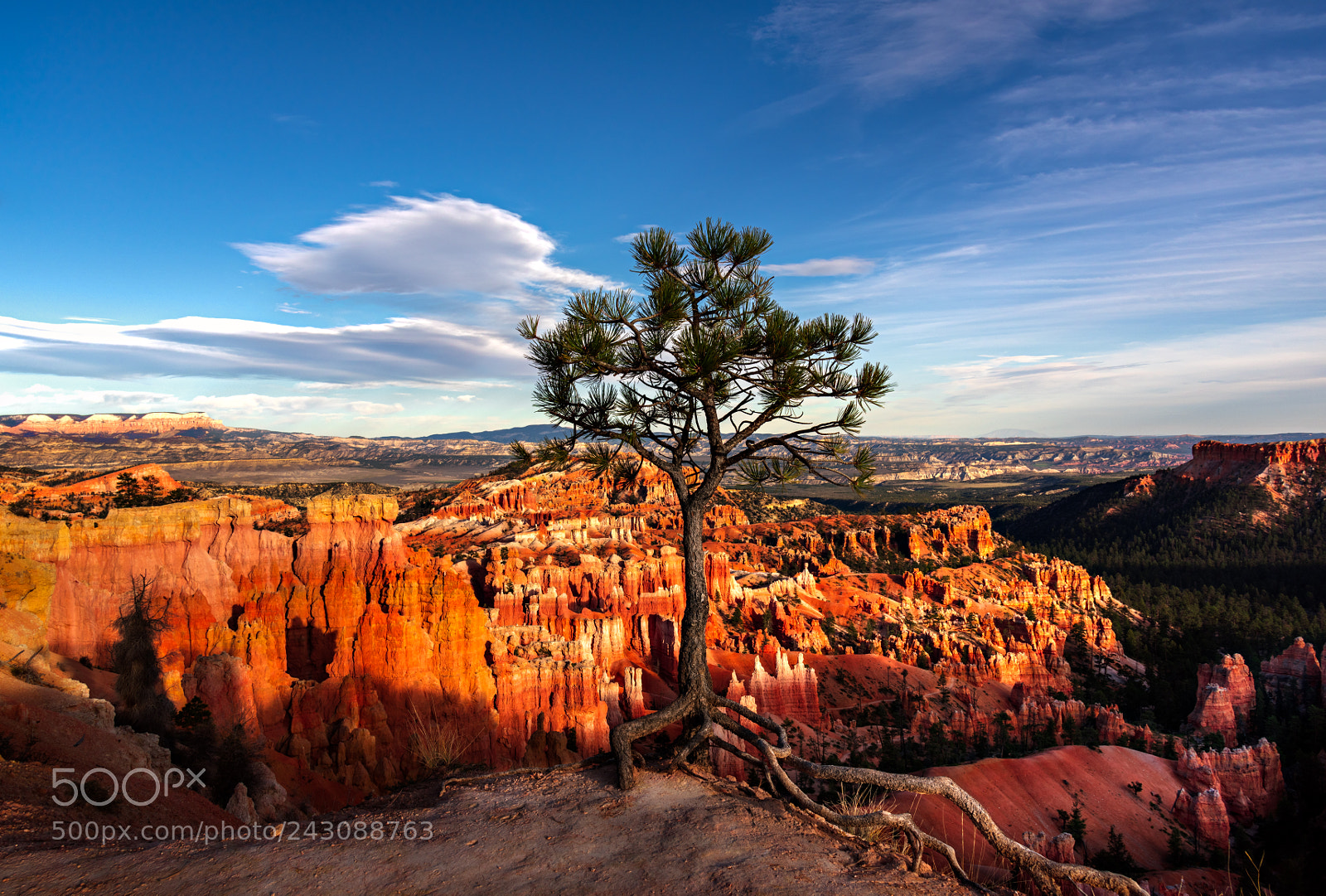 Nikon D810 sample photo. Bryce canyon national park photography
