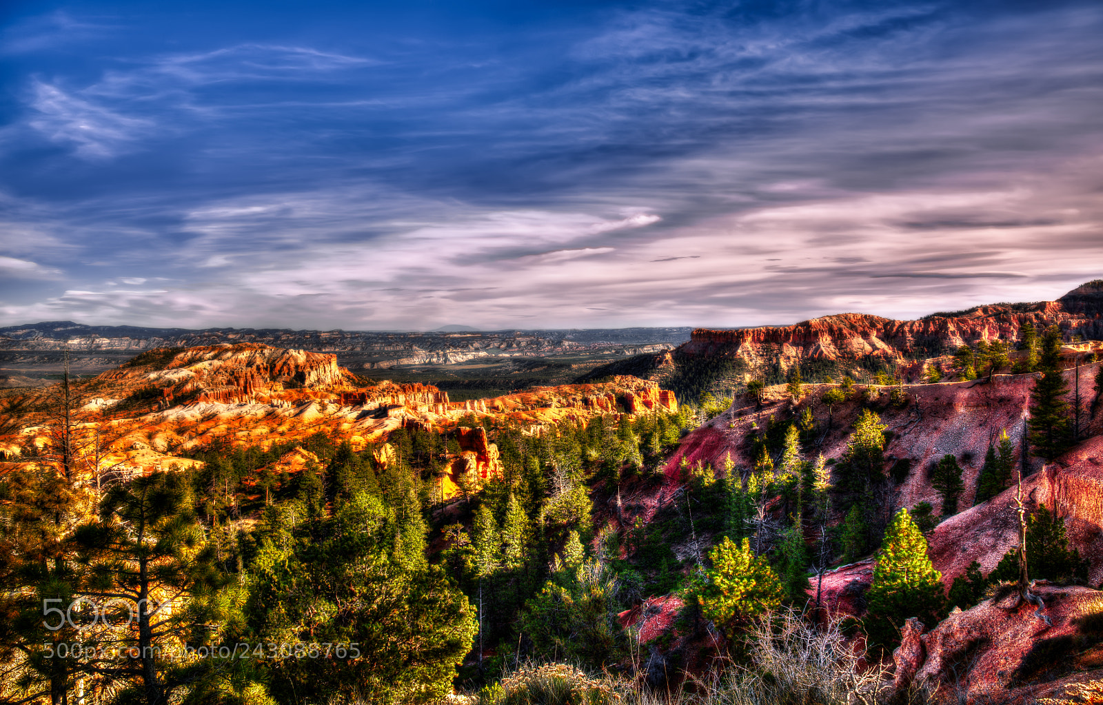 Nikon D810 sample photo. Bryce canyon national park photography