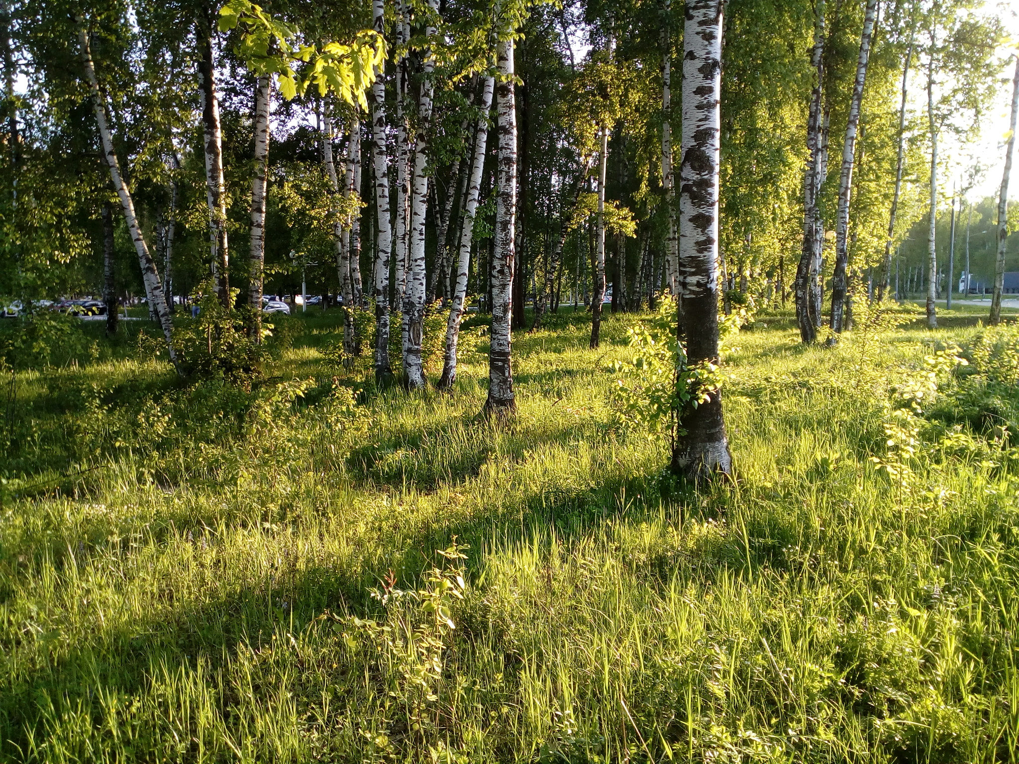 ZTE BLADE A510 sample photo
