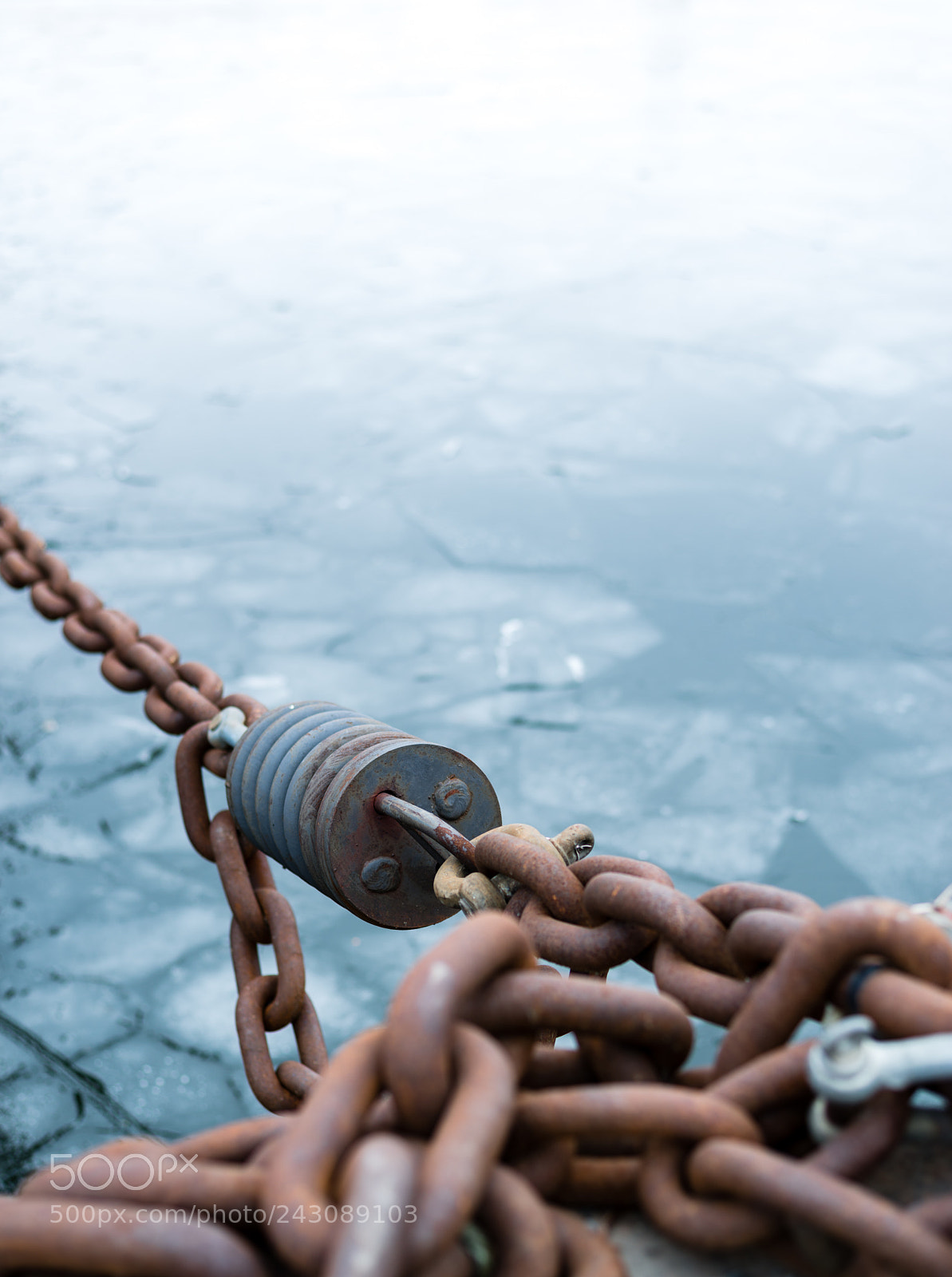 Nikon D800E sample photo. Chain and ice photography