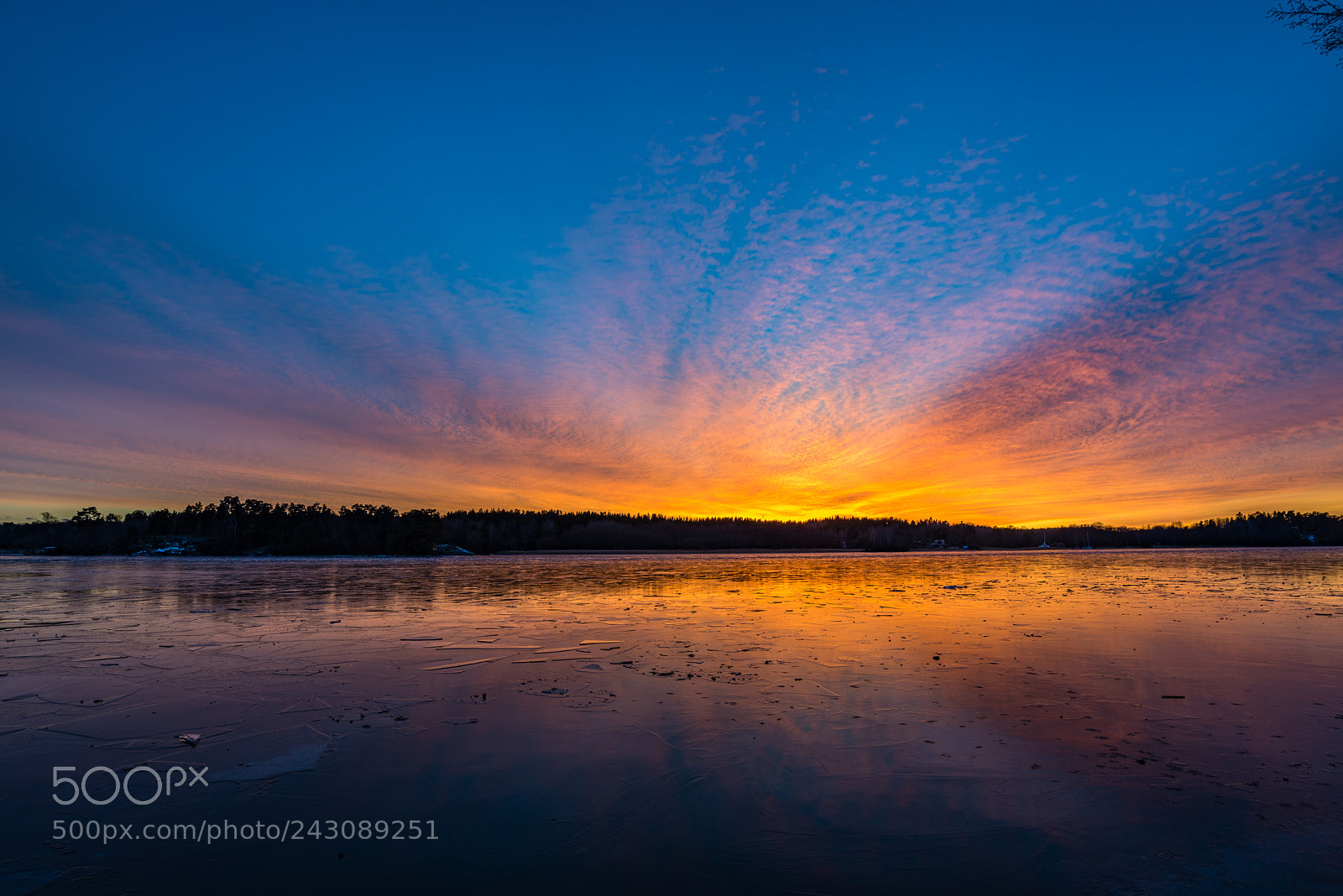 Nikon D800E sample photo. Winter sunset over icy photography