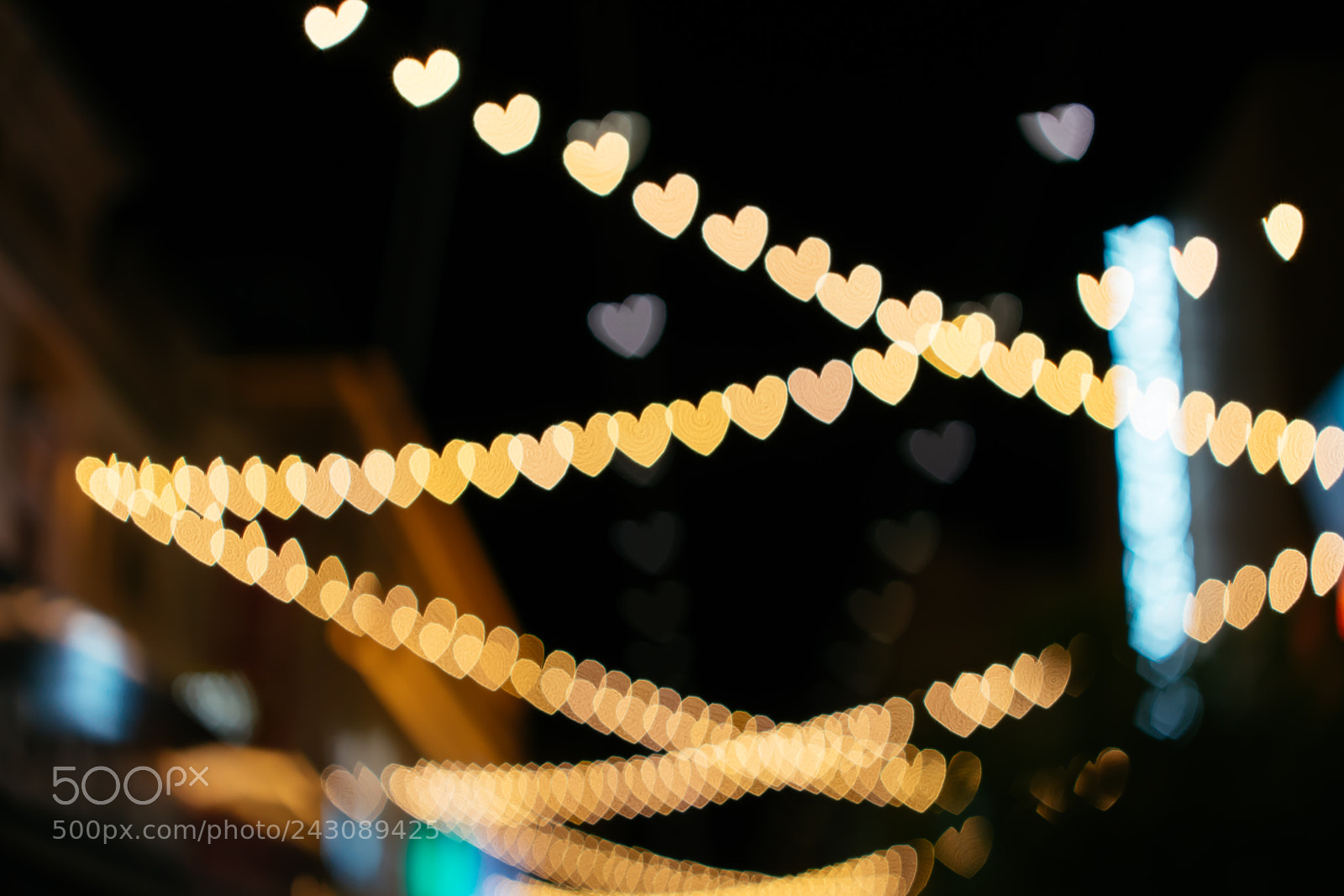 Sony a7 II sample photo. Untitled photography