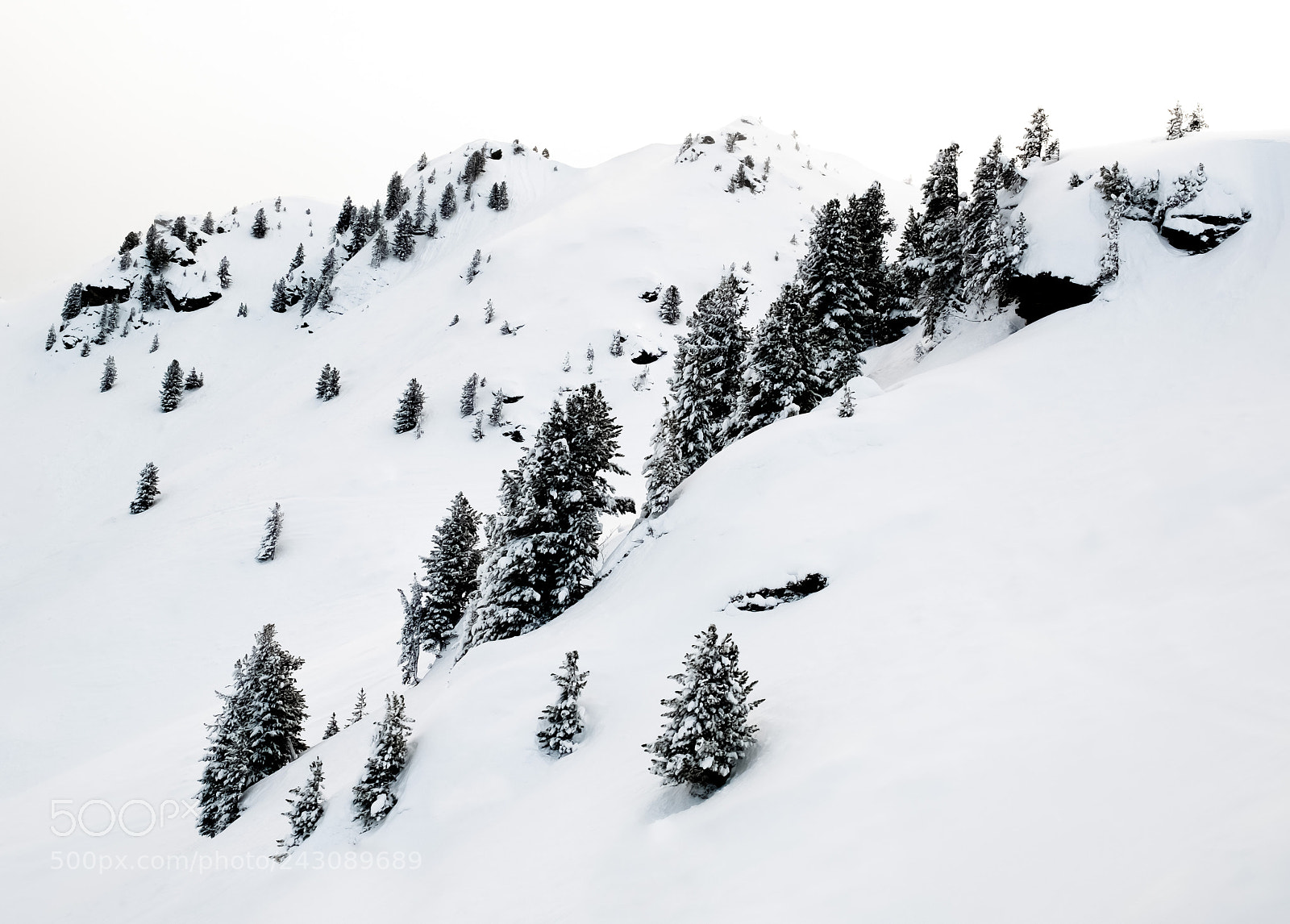Fujifilm X-T2 sample photo. Snow photography