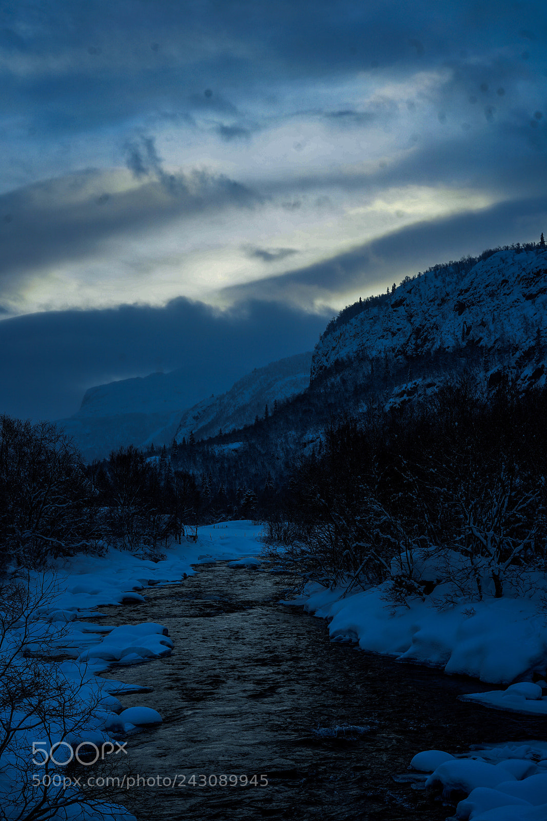 Sony a7 II sample photo. For my friend tom photography