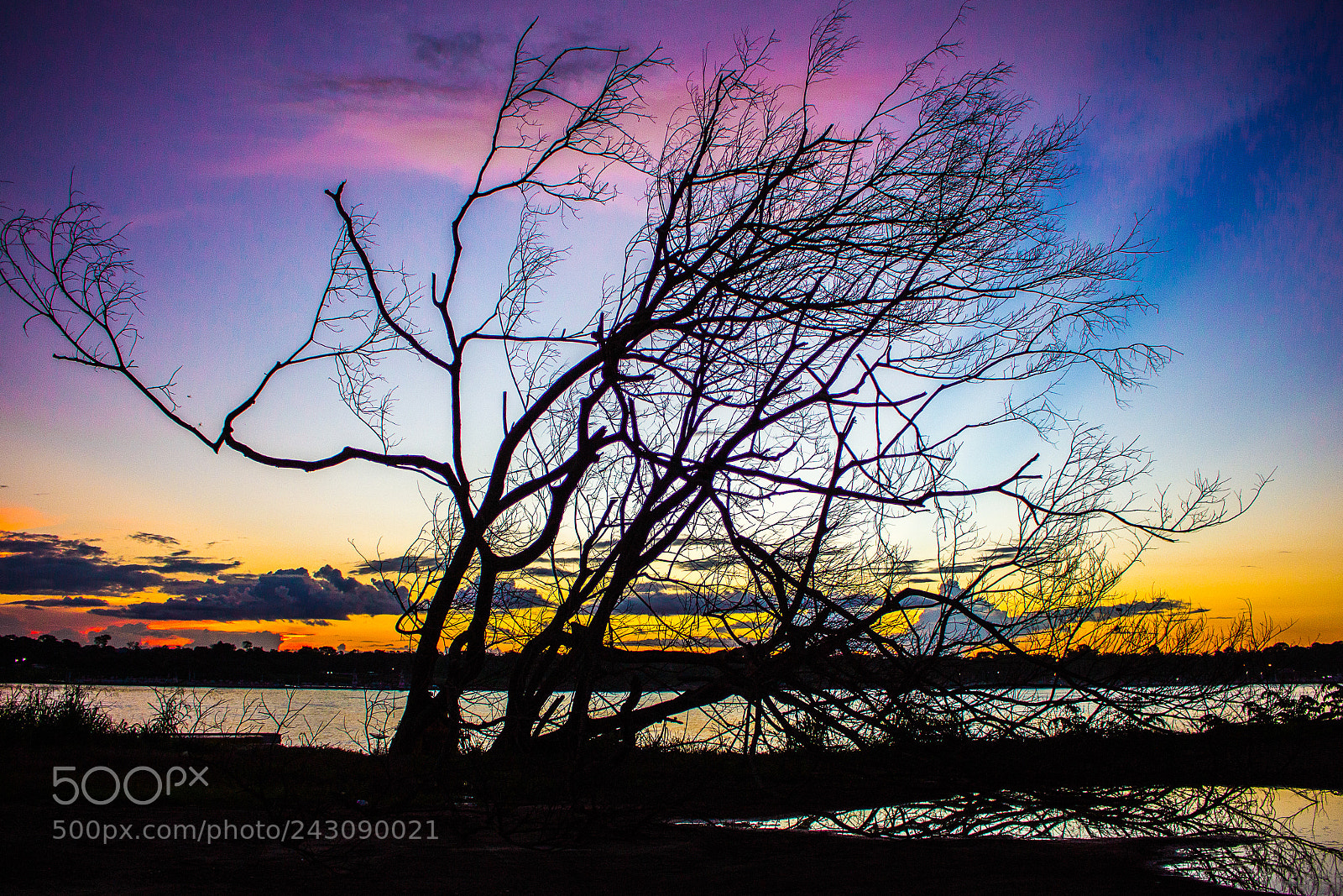 Canon EOS 700D (EOS Rebel T5i / EOS Kiss X7i) sample photo. Colors from a sunset photography