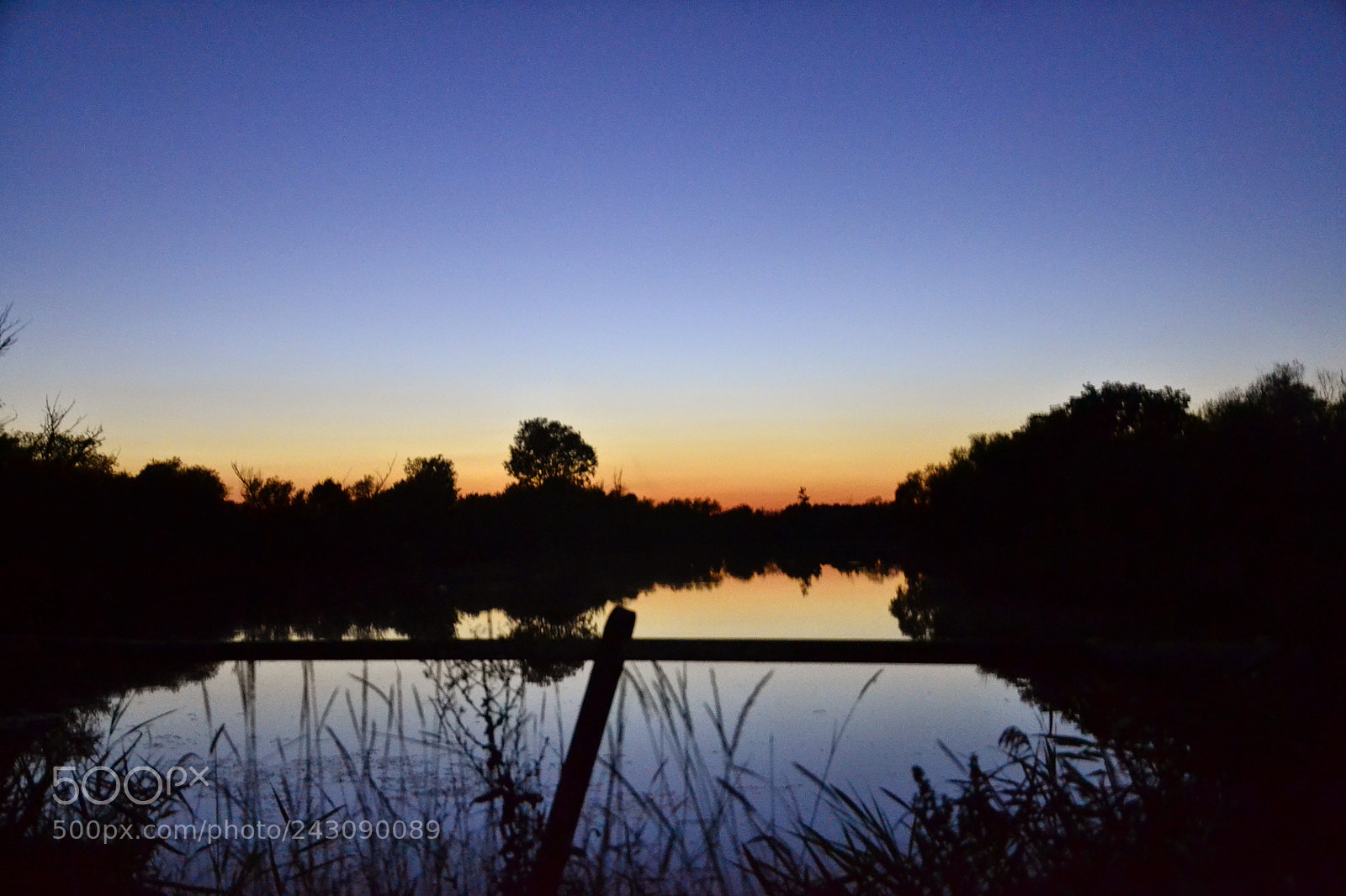 Nikon D3100 sample photo. Untitled photography