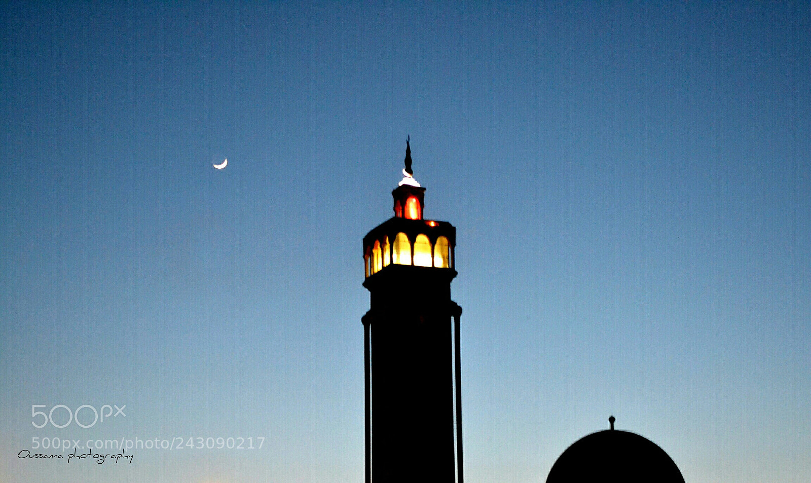 Nikon D3100 sample photo. Untitled photography