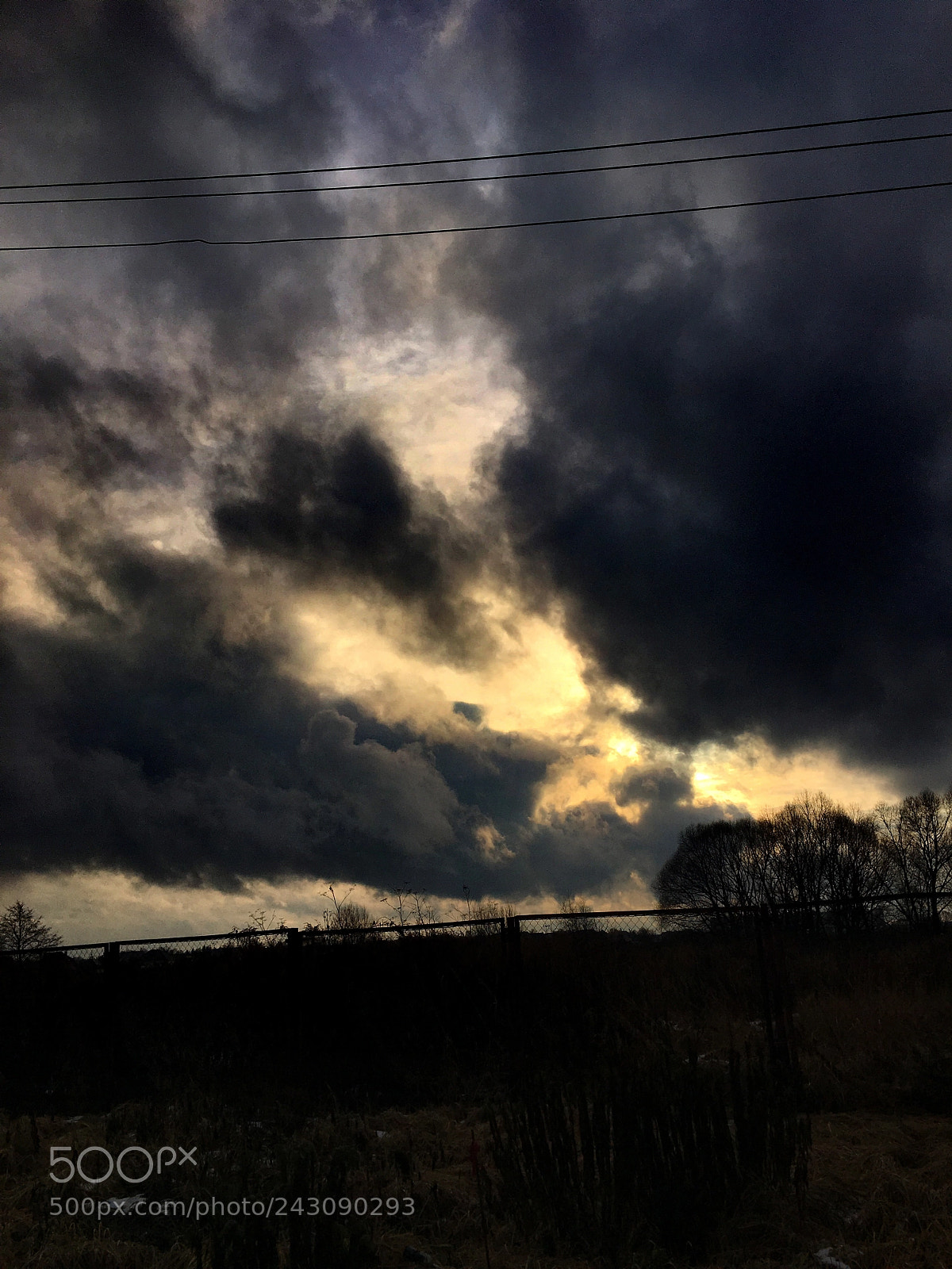 Apple iPhone 6s sample photo. Untitled photography