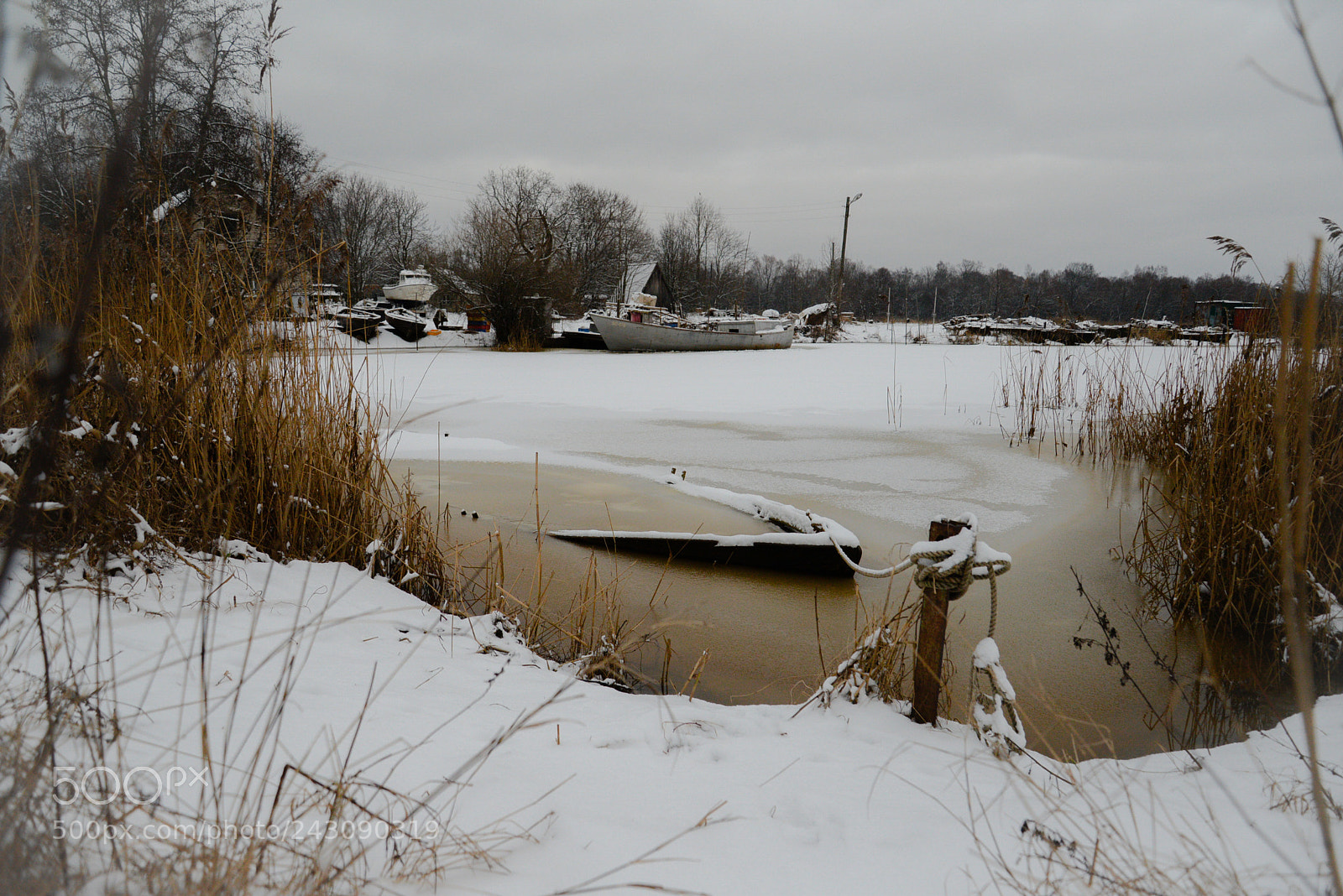 Nikon D600 sample photo. Untitled photography