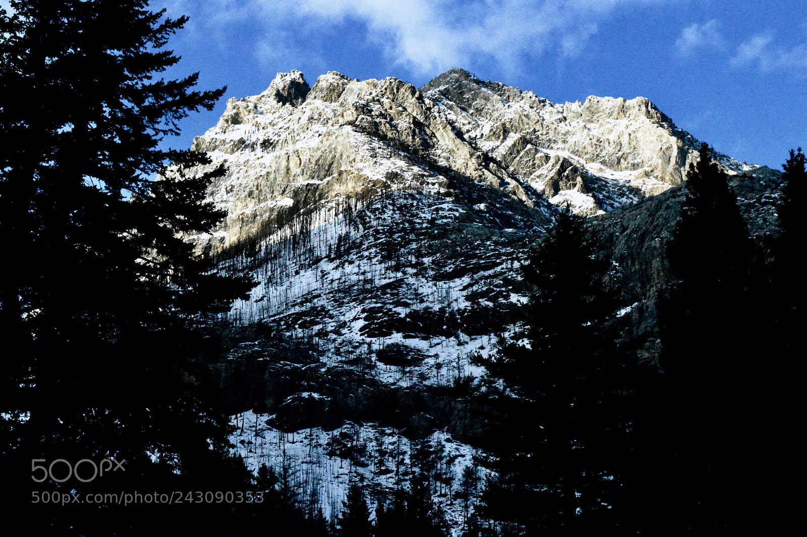 Nikon D3200 sample photo. Between the trees photography