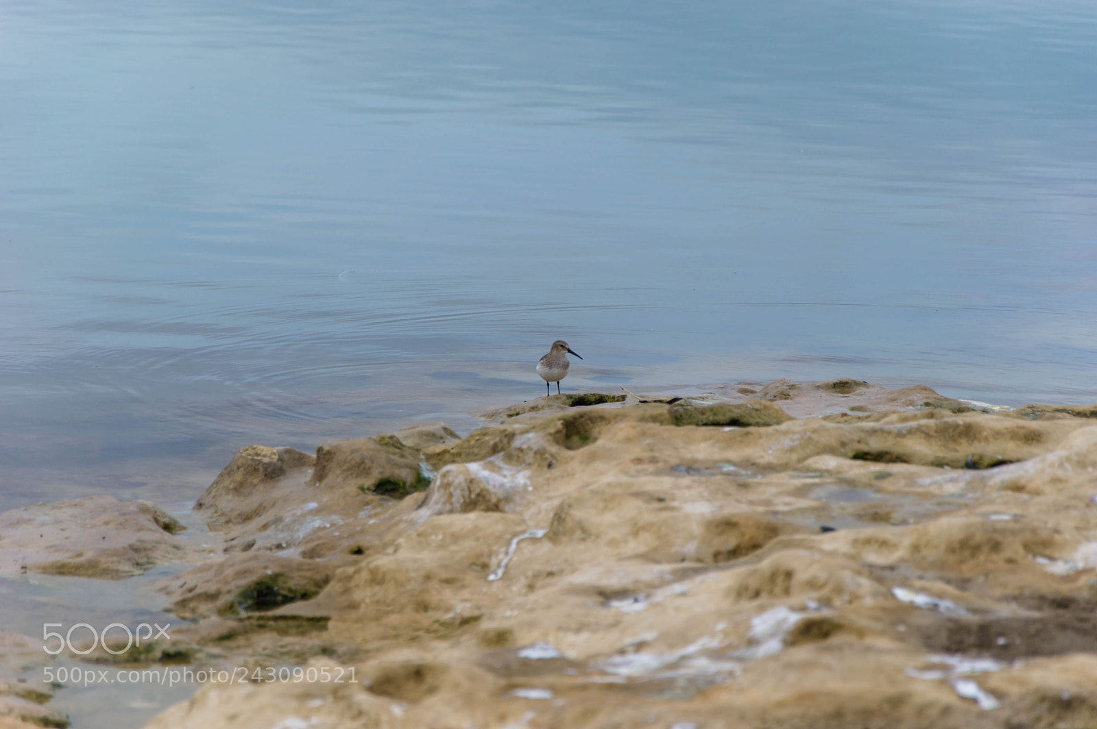 Nikon D3200 sample photo. Untitled photography