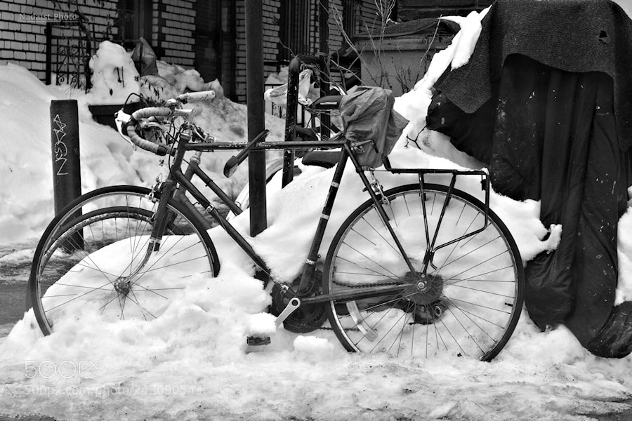 Canon EOS 700D (EOS Rebel T5i / EOS Kiss X7i) sample photo. Neige photography