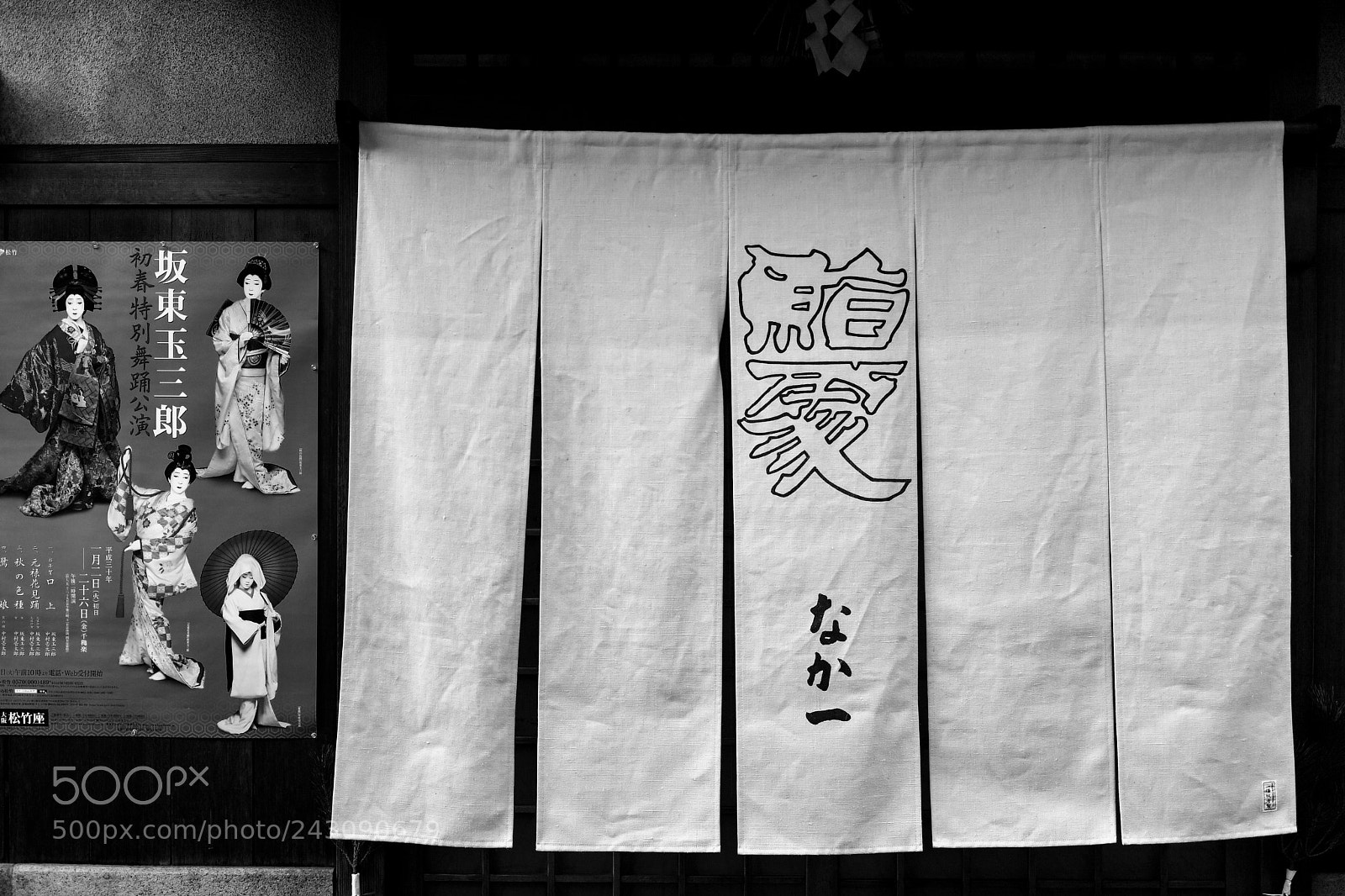 Nikon D5 sample photo. Kyoto photography