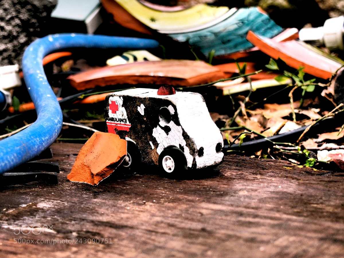 Olympus OM-D E-M5 sample photo. Waiting for rescue? photography