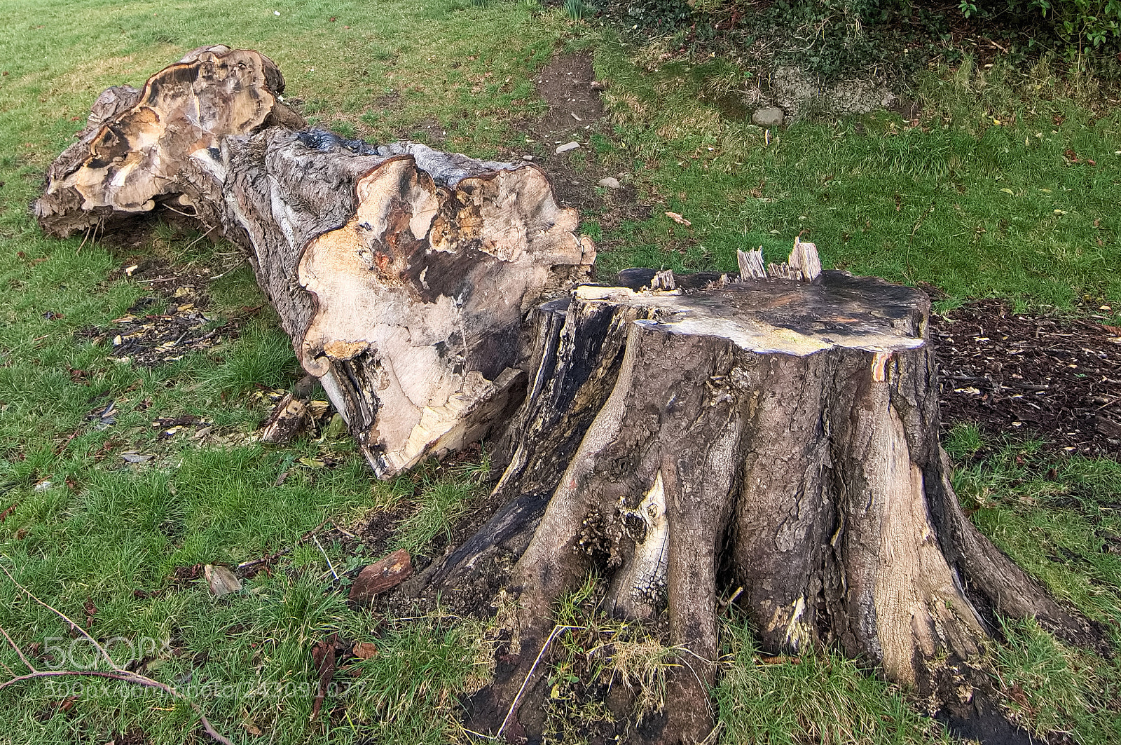 Nikon D2X sample photo. Timber !!!!! photography