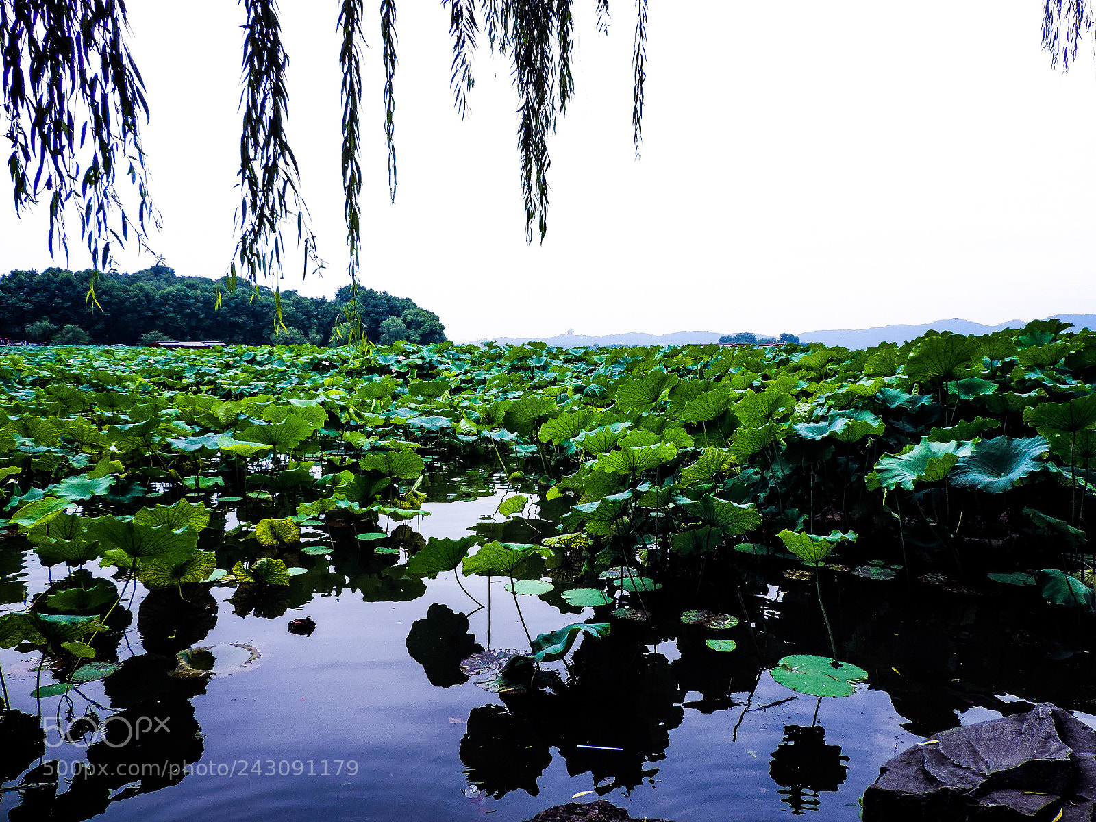 Nikon Coolpix P520 sample photo. Beautiful hangzhou, china photography