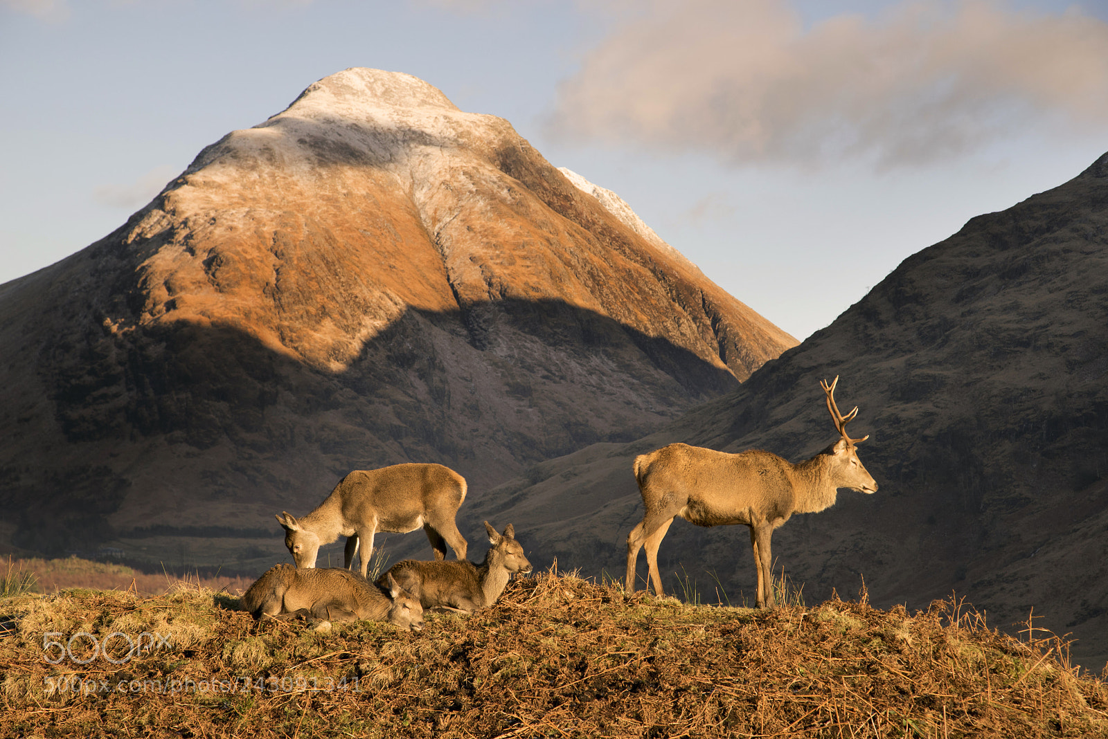 Sony a7R sample photo. Glen etive photography