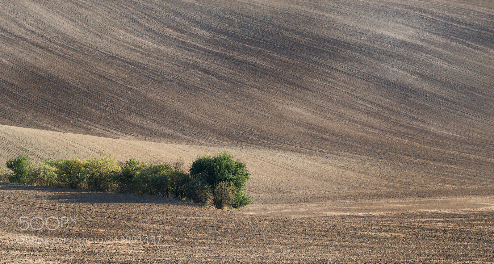 Nikon D800 sample photo. Nice fields photography