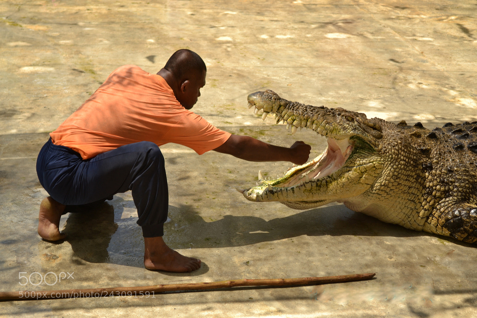 Nikon D3100 sample photo. You must be kidding ! photography