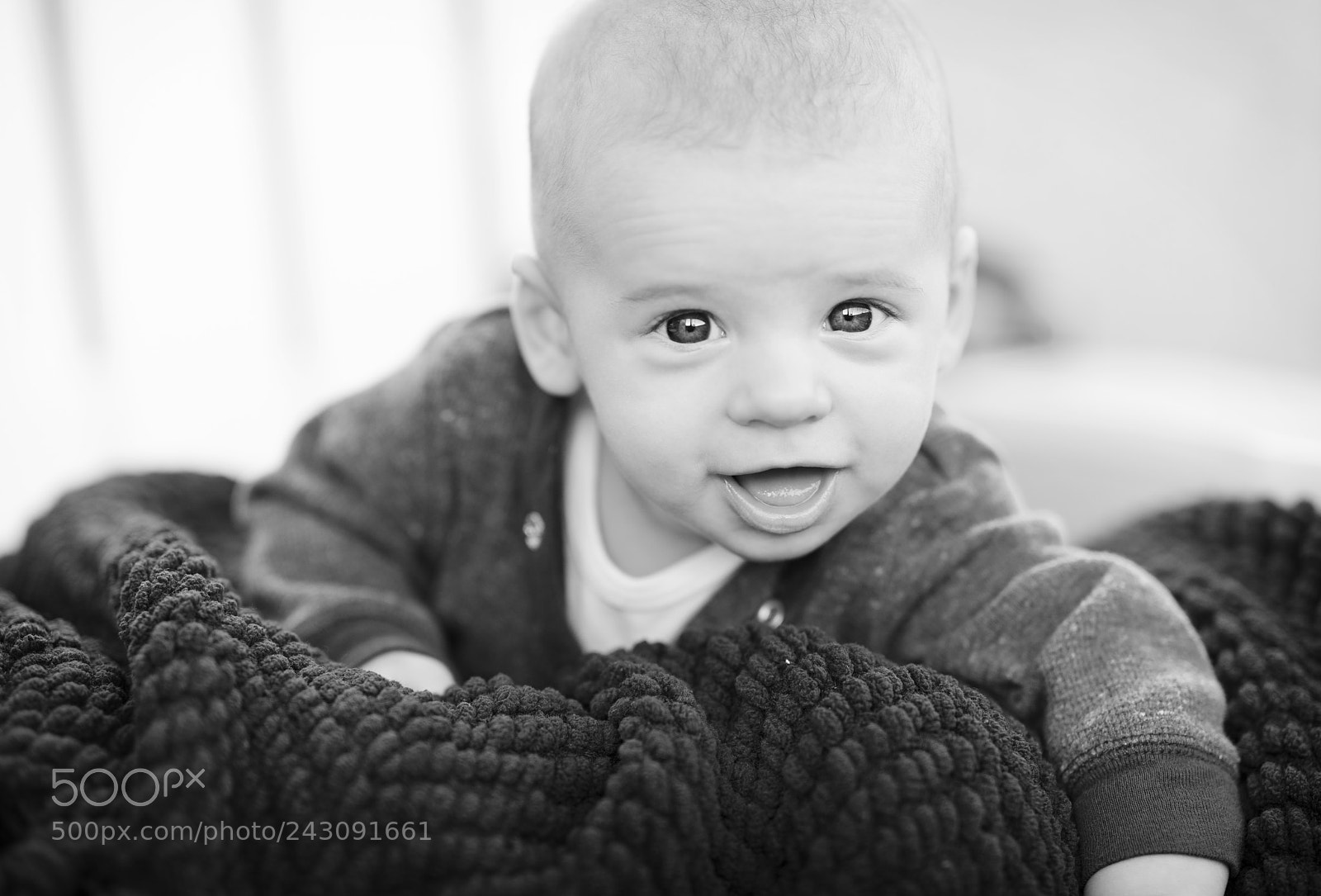 Nikon D850 sample photo. Hud photography