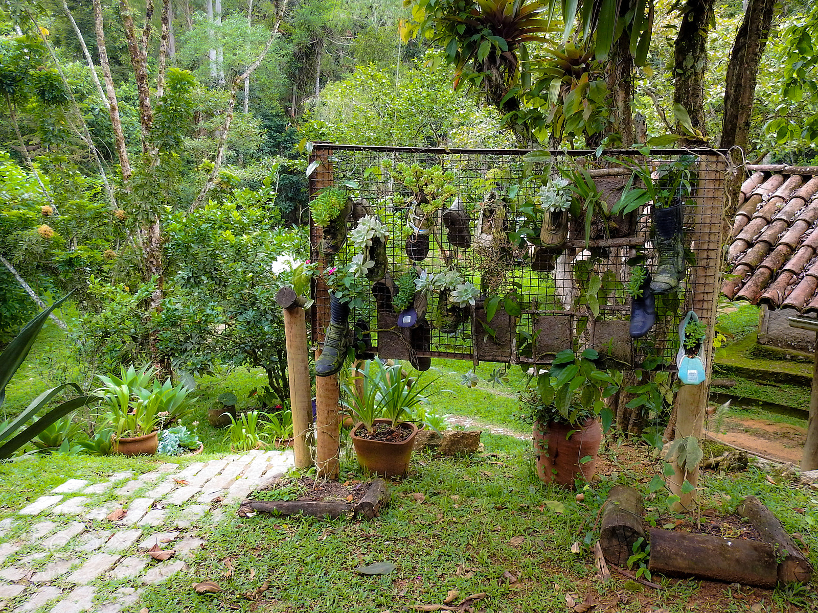 Nikon Coolpix P900 sample photo. Hanging garden photography