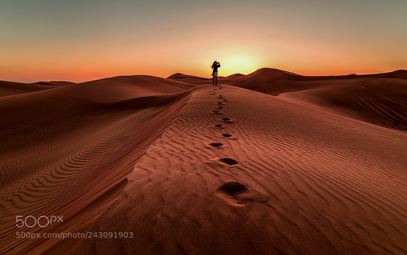Nikon D610 sample photo. Desert sunset photography