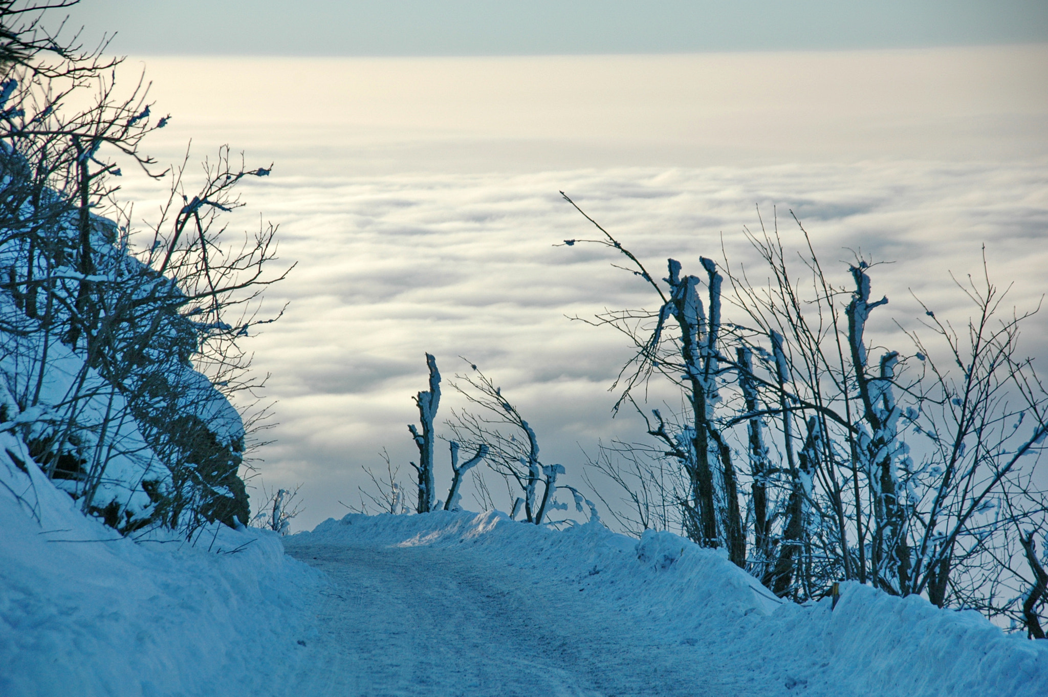 Nikon D70s + Sigma 18-200mm F3.5-6.3 DC sample photo. Above the clouds photography