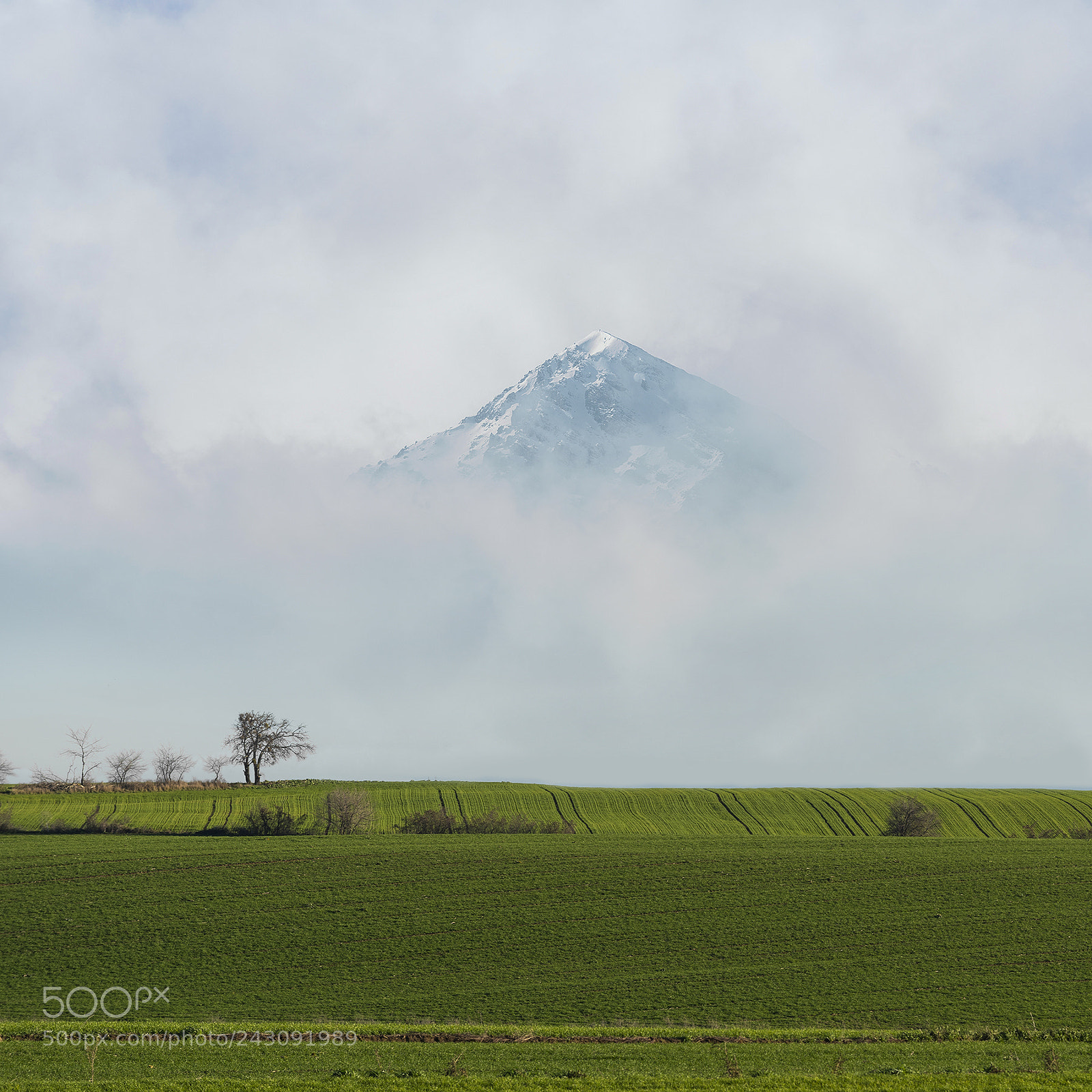 Nikon D810 sample photo. 9154 photography