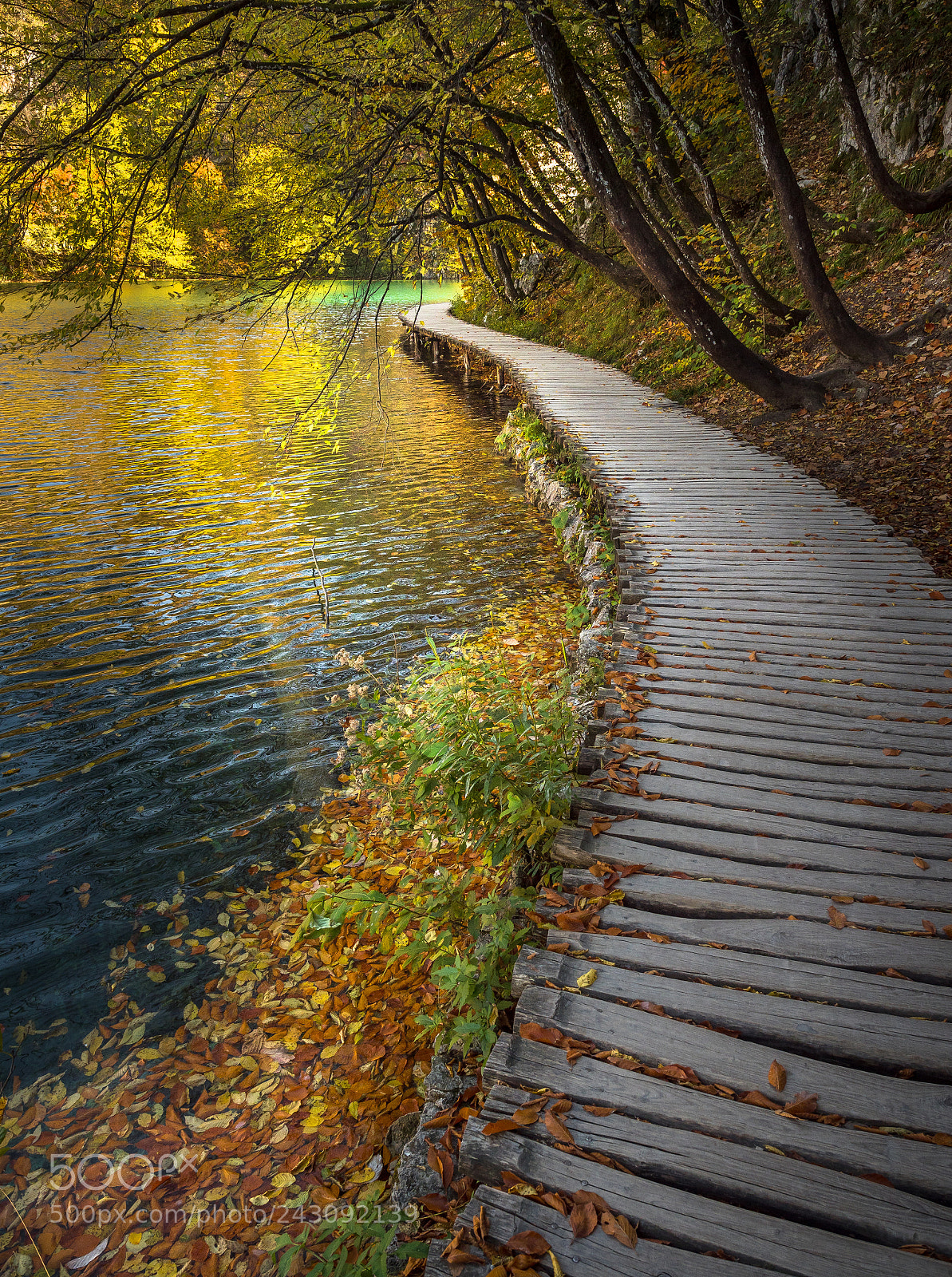 Olympus OM-D E-M1 Mark II sample photo. Plitvice boardwalk photography