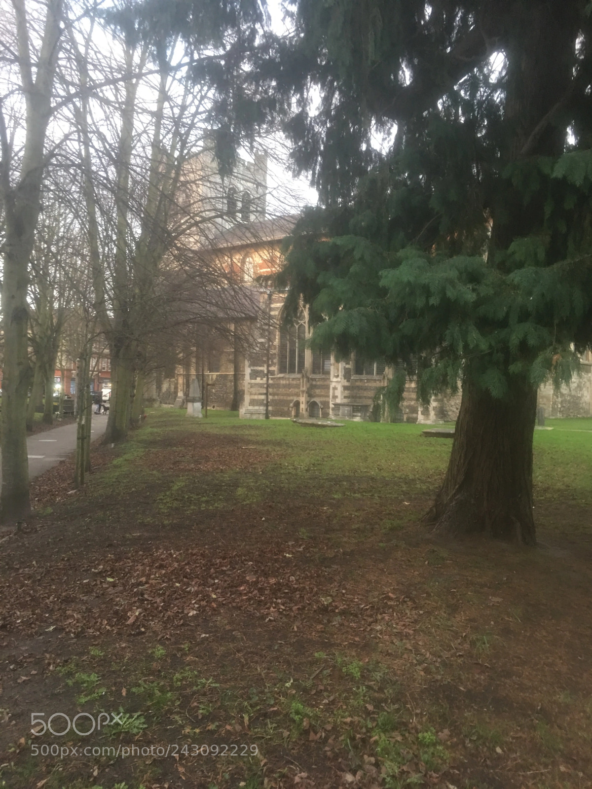 Apple iPhone 6s Plus sample photo. The abbey in the photography