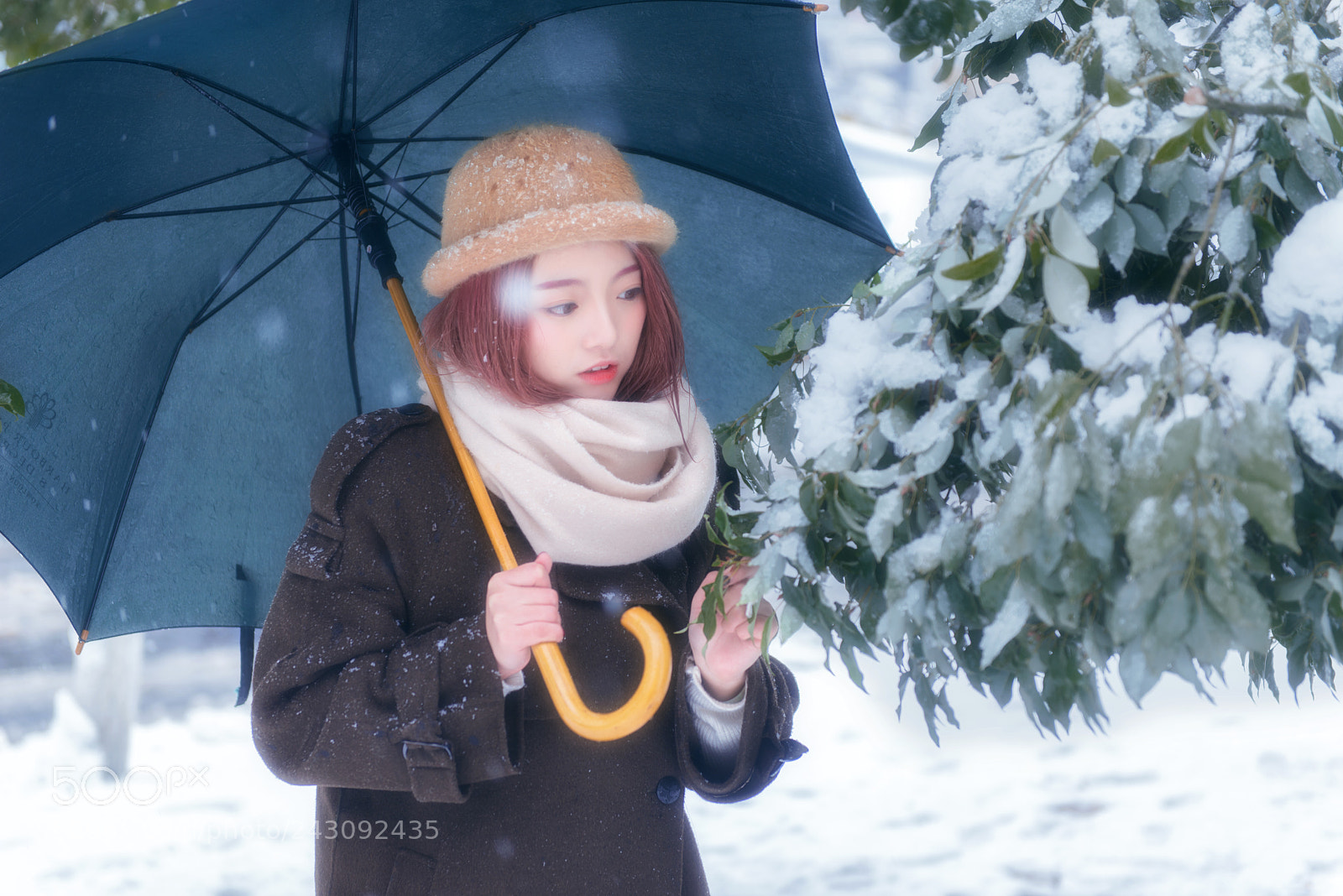 Nikon D800 sample photo. 2018年的雪景纪念 photography
