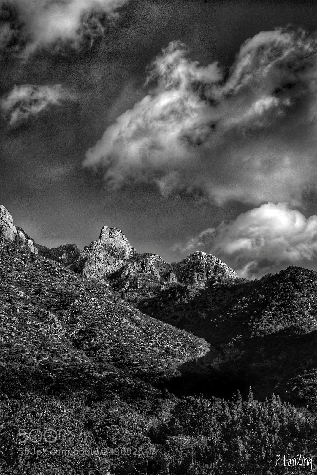 Nikon D810 sample photo. New snow on sandia photography